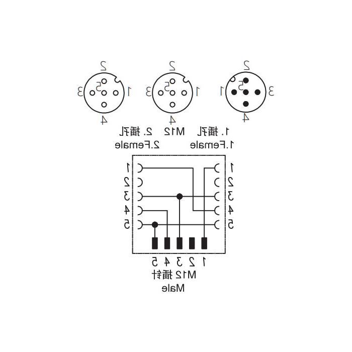 M12 5Pin公/2M12 5Pin母，y型连接器，644331